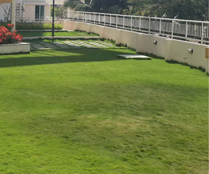 Garden Waterproofing service by waterproofpaintco